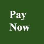pay now