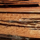 common-termite-wood-damage