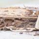 how-to-kill-termites-in-wood