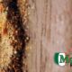 how-to-look-for-termite-damage