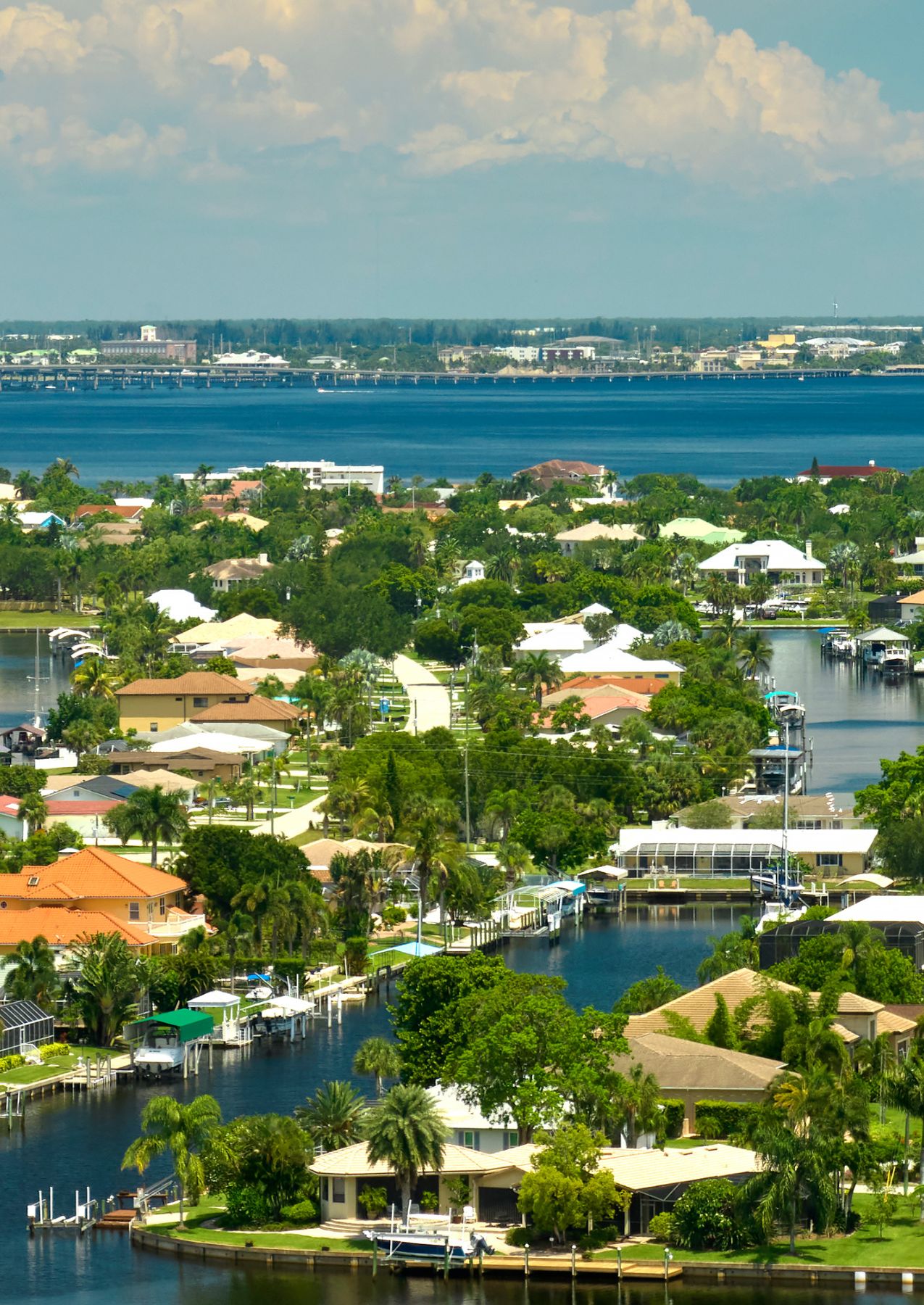 Bed Bug Control in Treasure Island, FL.