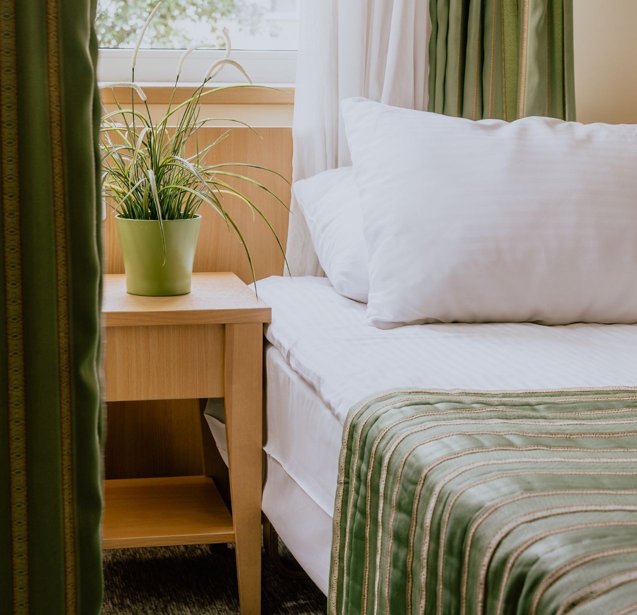 Bed Bug Control in Treasure Island, FL.