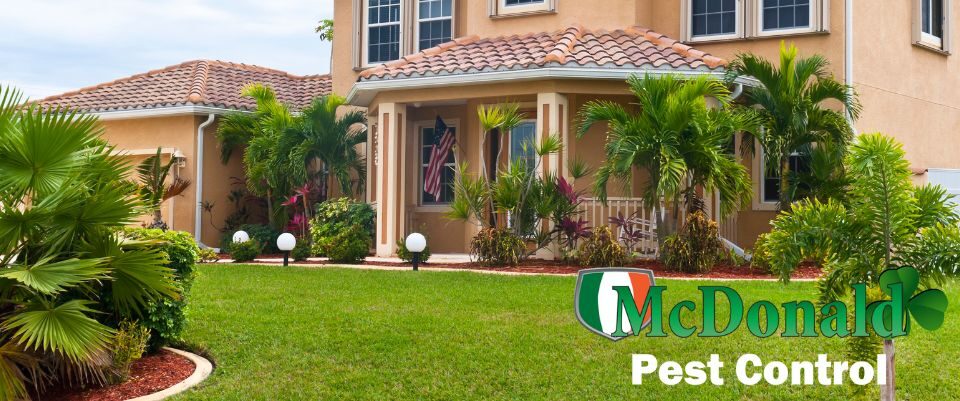 Lawn Pest Control Florida: Year-Round Protection & Tips