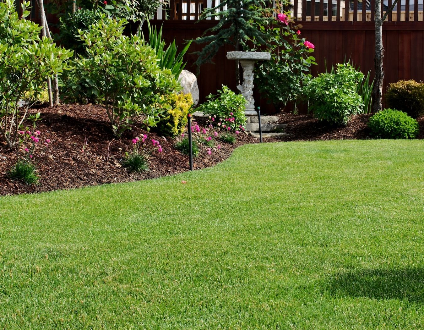 lawn treatment and service in Pinellas County lawn treatment and service in Pinellas County