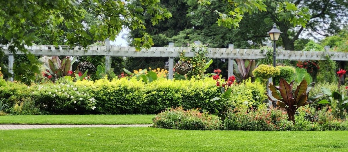 lawn treatment and service in Pinellas County lawn treatment and service in Pinellas County